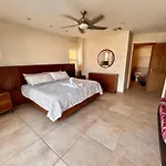 Ave Fenix Cozumel